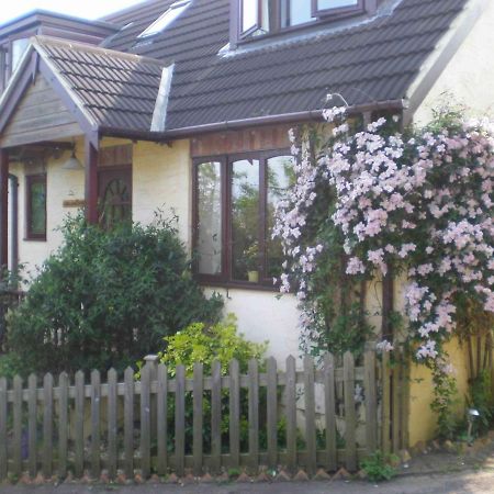 Skerries B And B Lyme Regis Bagian luar foto